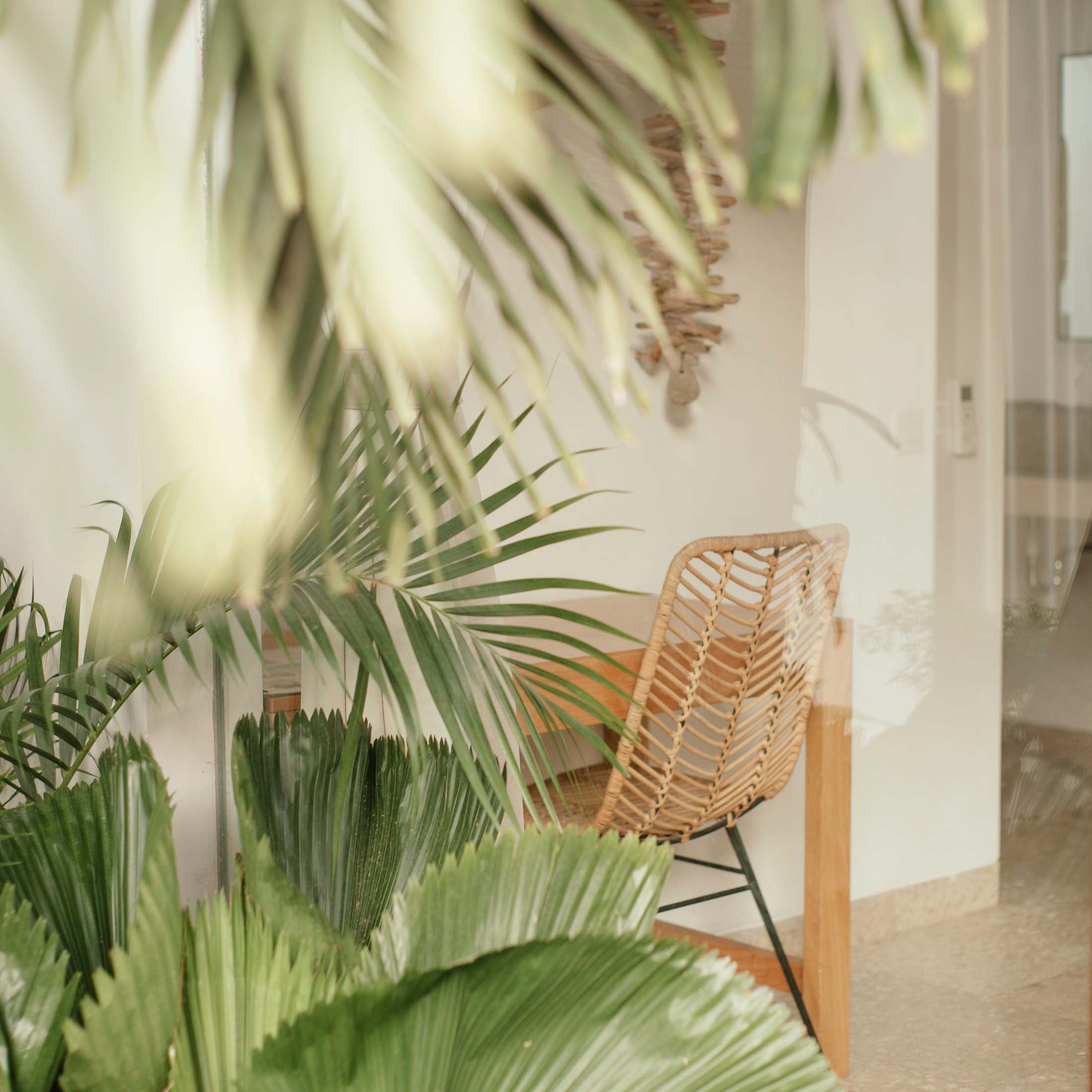Book Now - Naturopath for Chronic & Gut Health