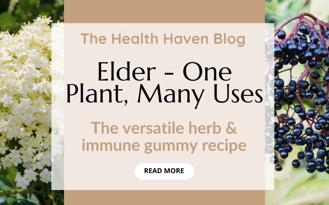 Easy Immune Gummies – Elder, One Plant, Many Uses