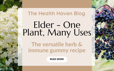 Easy Immune Gummies – Elder, One Plant, Many Uses