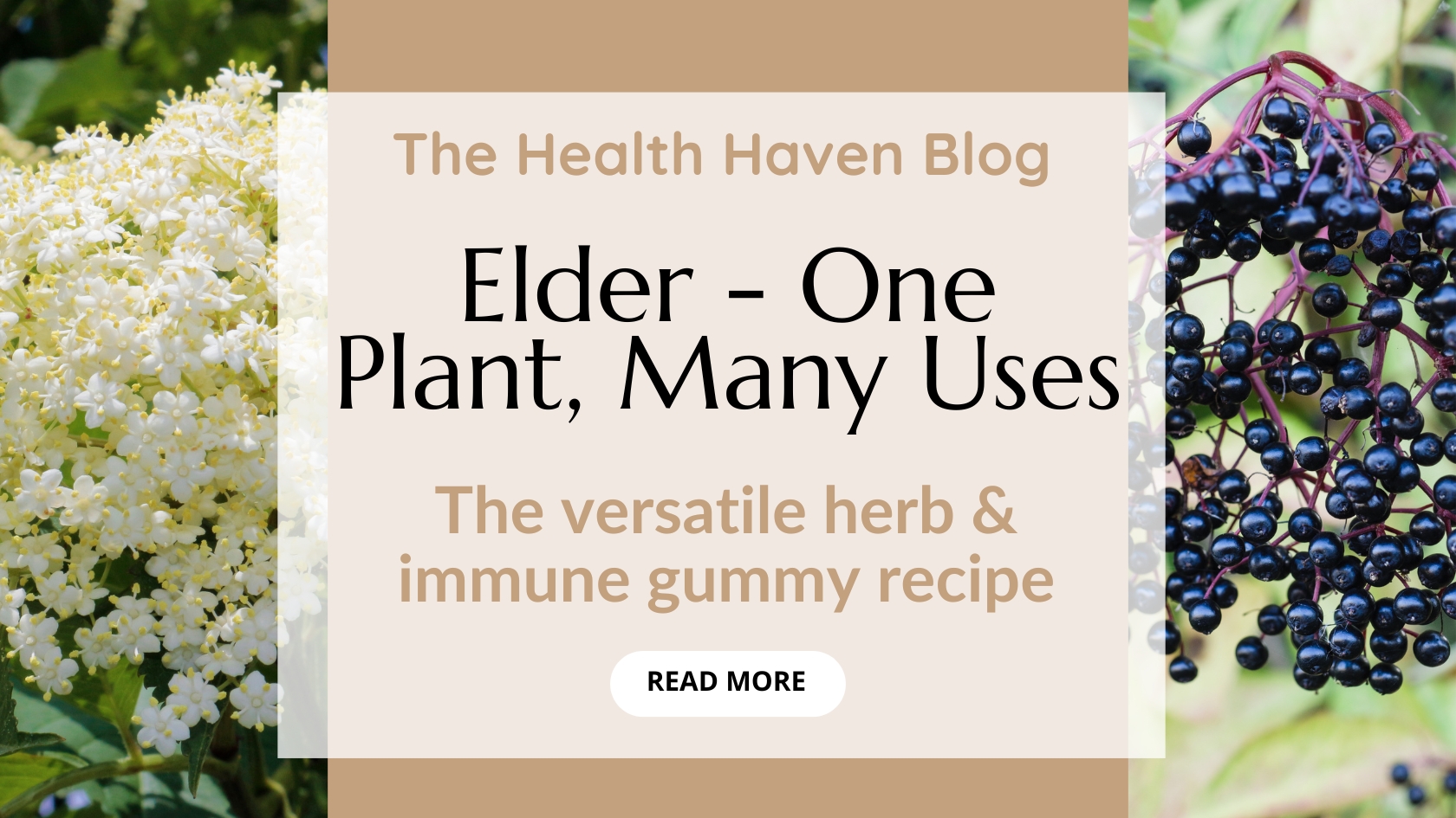 Health Haven Blog header